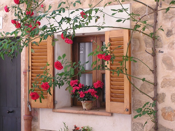 volets battants bois